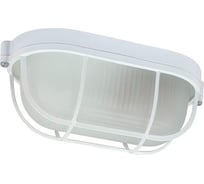 Светильник ЭЛЕТЕХ Банник 1402 Овал малый НПП 03-60-022 IP65 матовый корпус с решеткой ИУ 1005501079