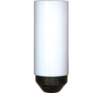 Светильник ЭЛЕТЕХ Цилиндр 2 ДТУ СПЕЦСВЕТ 03-024-401 опал мат. IP44 корпус черный 1030450381