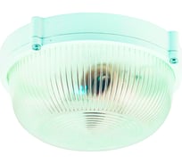 Светильник ЭЛЕТЕХ Банник 1301 Круг малый НПП 03-60-013 IP65 матовый корпус белый ИУ 1005501076