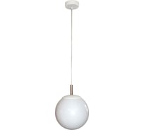 Светильник ЭЛЕТЕХ Шар 250 НСО 17-150-305 опал ПММА шнур 3м проз. ИУ 1005251036