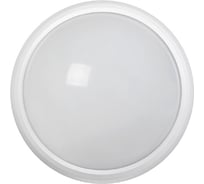Светильник IEK ДПО 5130, LED, 12Вт, 6500K, IP65, круг, белый LDPO0-5130-12-6500-K01