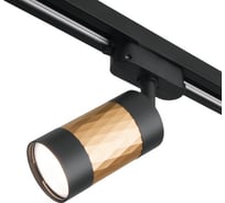 Потолочный светильник Elektrostandard Mizar, черный, золото GU10 MRL 1007 a047376