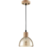 Светильник подвесной LUMION E27 1*60W NATANA 8054/1А