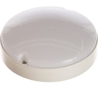 Светодиодный пылевлагозащищенный светильник RSV SPP-02-8W-6500K-IP65 A 100319