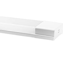 Светильник светодиодный Фарлайт СПО Двадцаточка ОПАЛ 20 Вт 6500 K 600 мм FAR002343