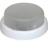Светодиодный светильник ЭЛЕТЕХ Раунд-Д 200 LED 23-09-002 1030450366