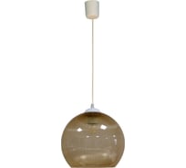 Светильник ЭЛЕТЕХ Люкс 250 НСБ 72-60 М50 пласт.зол.призм./шнур бел. ИУ 1005404592