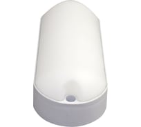 Накладной светодиодный светильник ЭЛЕТЕХ СПЕЦСВЕТ-А ДПО 03-012-004 6500К/1000Лм IP65 1030450436