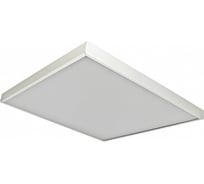 Светодиодный светильник CENTER (40Вт, Osram, 4000К, CRI>90, Опал, IP54, 595х595х48мм) 35748690