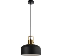 Светильник подвесной truEnergy под лампу E27 IP20 черный металл 21471