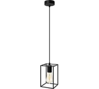 Светильник подвесной truEnergy под лампу E27 IP20 черный металл 21455