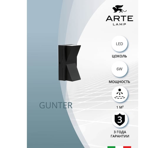Фасадный светильник ARTE LAMP GUNTER A6306AL-2BK