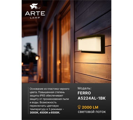 Уличный настенный светильник ARTE LAMP FERRO A5224AL-1BK