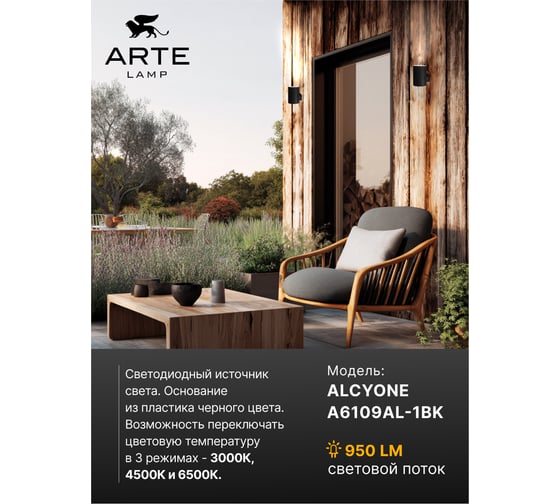 Фасадный светильник ARTE LAMP ALCYONE A6109AL-1BK