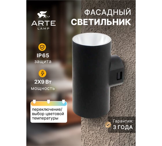 Фасадный светильник ARTE LAMP ALCYONE A6109AL-2BK