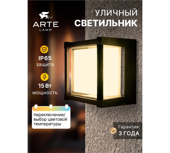 Уличный потолочный светильник ARTE LAMP ULYSSES A6406PF-1BK