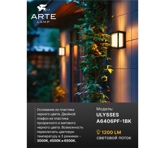 Уличный потолочный светильник ARTE LAMP ULYSSES A6406PF-1BK