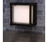 Уличный потолочный светильник ARTE LAMP ULYSSES A6406PF-1BK 6