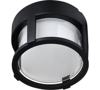 Уличный потолочный светильник ARTE LAMP ULYSSES A6206PF-1BK
