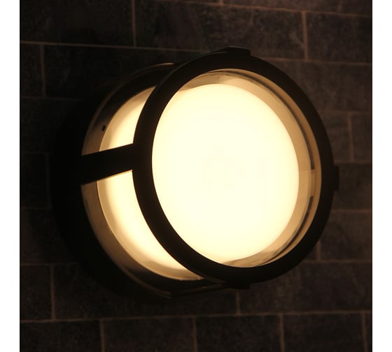 Уличный потолочный светильник ARTE LAMP ULYSSES A6206PF-1BK