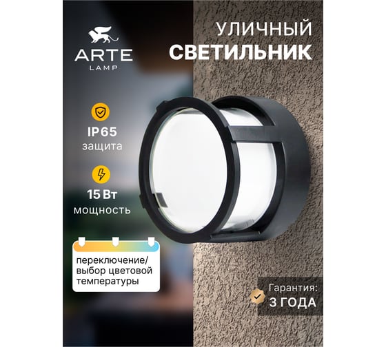 Уличный потолочный светильник ARTE LAMP ULYSSES A6206PF-1BK