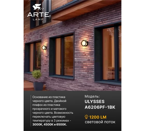 Уличный потолочный светильник ARTE LAMP ULYSSES A6206PF-1BK