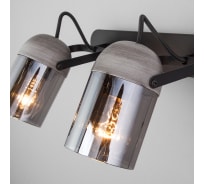 Настенный светильник Eurosvet 20122/2 черный/тертый серый a052951