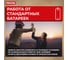 Фонарь налобный светодиодный РЕКОРД SH-450 3хLR03, рассеянный свет 2W 23703 5