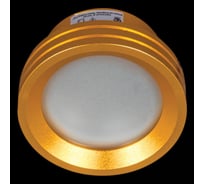 Встраиваемый светильник Sneha 5729/AK MR16 SG