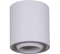 Накладной точечный светильник ReLuce 16135-9.5-001 GU10 WT