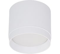 Накладной точечный светильник ReLuce 53007-9.5-001LD GX53 WT