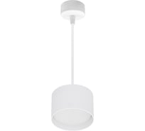 Подвесной светильник ReLuce 53006-0.9-001LD GX53 WT
