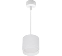 Подвесной светильник ReLuce 53007-0.9-001LD GX53 WT