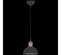 Подвесной светильник ReLuce 08199-0.9-01S BK