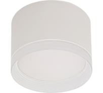 Накладной точечный светильник ReLuce 53004-9.5-001LD GX53 WT