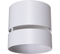 Накладной точечный светильник ReLuce 53017-9.5-001MN GX53 WT