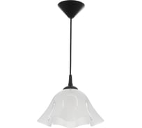 Люстра BayerLux Ирис 1x15Вт Е27 модель: BR 00260 черный/белый 28x28x14см 9175844