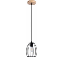 Подвесной светильник ILLUMICO IL1011-1P-05 BK