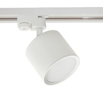 Трековый светильник ReLuce 53005-9.3-001LD GX53 WT