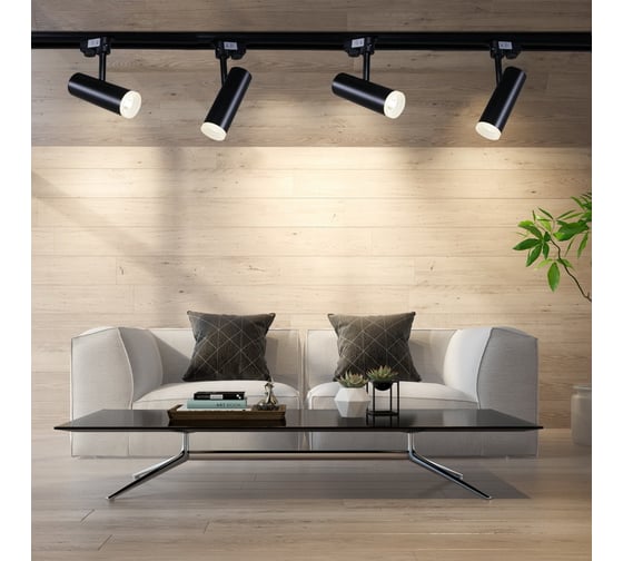 Трековый светодиодный светильник ReLuce 06232-9.3-001RN LED10W BK