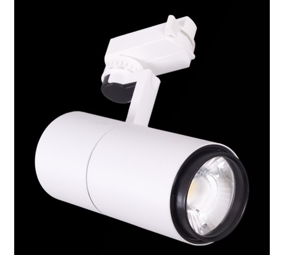 Трековый светодиодный светильник ReLuce 06720-9.3-001QY LED20W WT