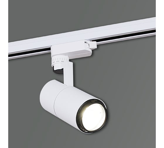 Трековый светодиодный светильник ReLuce 06712-9.3-001QY LED12W WT