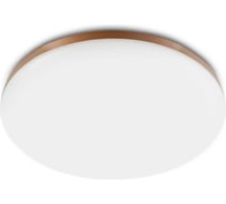 Потолочная лампа YEELIGHT LED Ceiling LampWHITE YLXD50YL YLXD5001CN