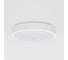 Потолочная лампа YEELIGHT LED Crystal Sensory Light MiniWHITE YLXD09YL XD091W0CN 7