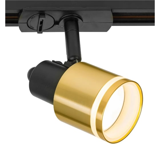 Трековый светильник Citilux Bruno Черный+Бронза CL565T14