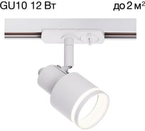 Трековый светильник Citilux Bruno Белый CL565T10