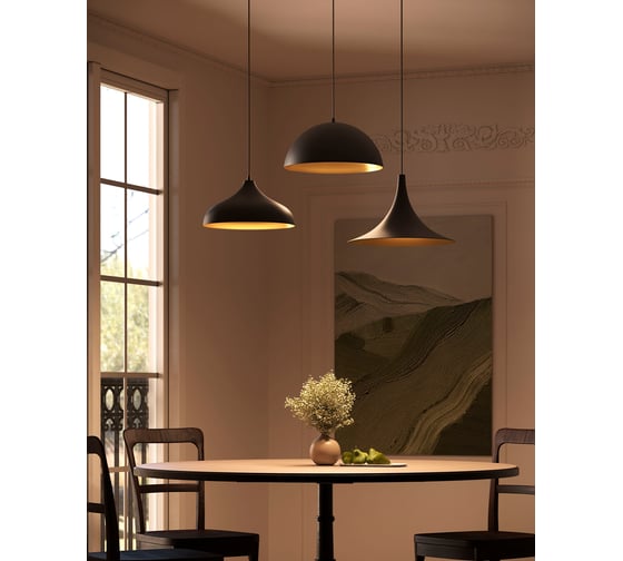 Подвесной светильник ARTE LAMP CARMEL A7076SP-1BK