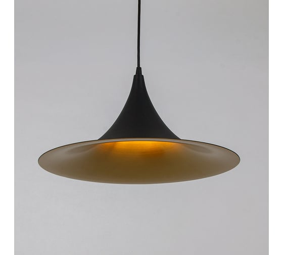 Подвесной светильник ARTE LAMP CARMEL A7080SP-1BK