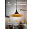 Подвесной светильник ARTE LAMP CARMEL A7080SP-1BK 6