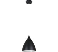 Подвесной светильник ARTE LAMP LARK A7075SP-1BK
